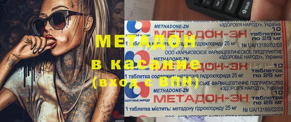 индика Аркадак