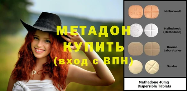 индика Аркадак