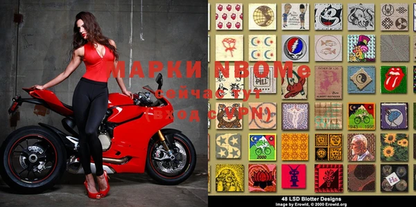 индика Аркадак