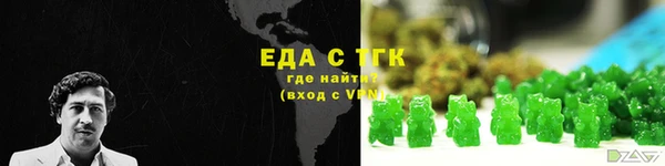 индика Аркадак