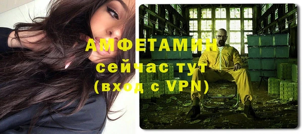 индика Аркадак