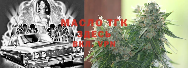 индика Аркадак