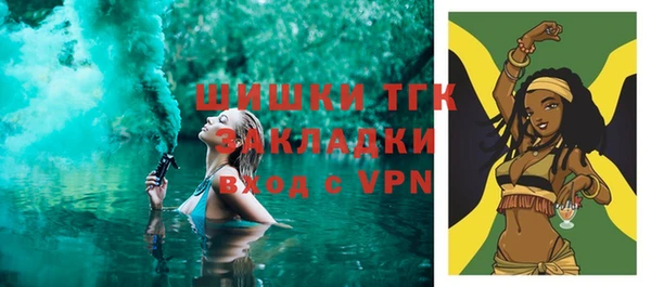 индика Аркадак