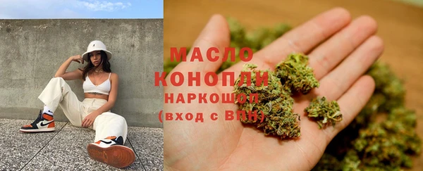 индика Аркадак